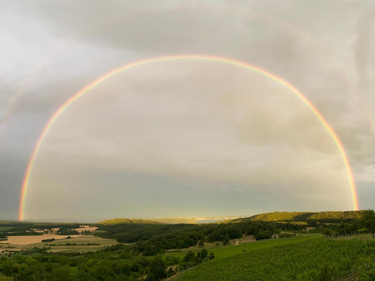 Borbora Borhaz Villa Vaszoly Bagian luar foto