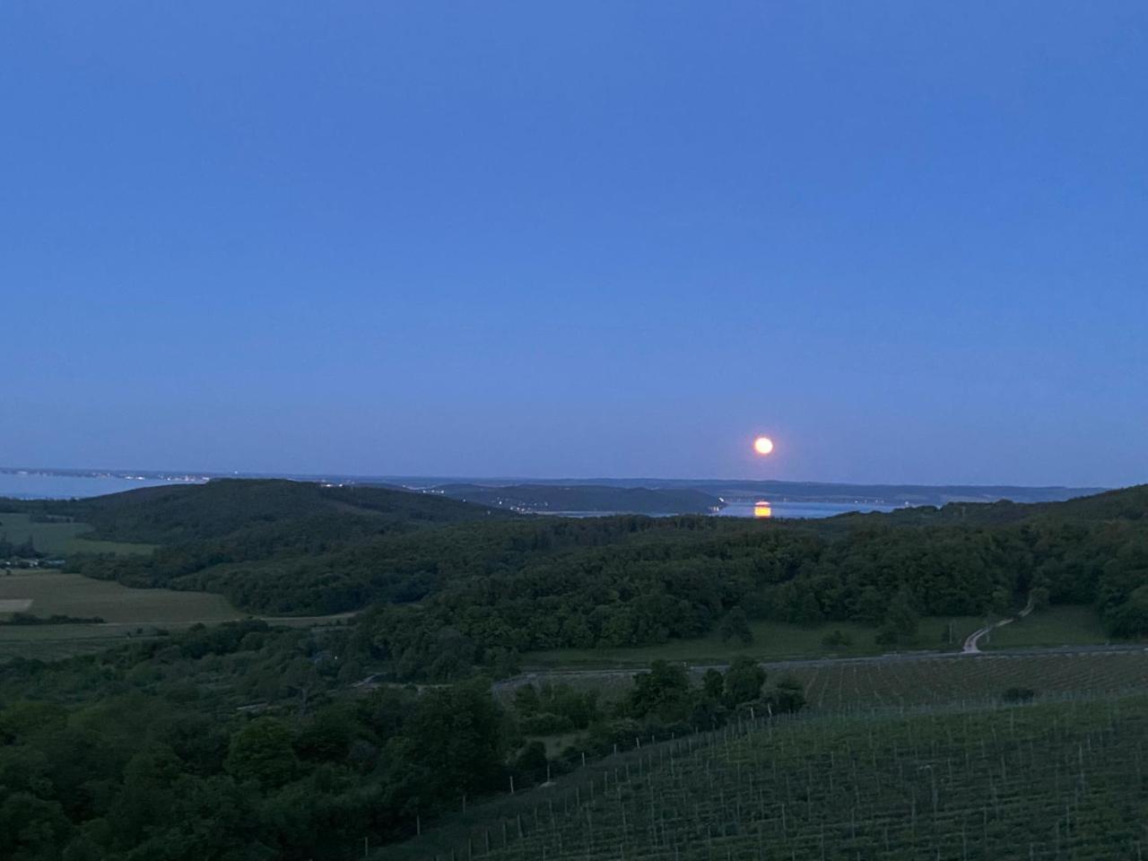 Borbora Borhaz Villa Vaszoly Bagian luar foto