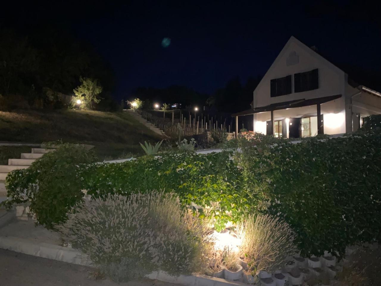 Borbora Borhaz Villa Vaszoly Bagian luar foto