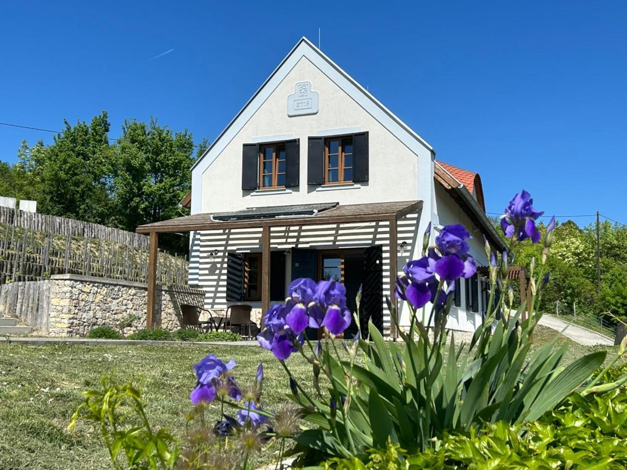 Borbora Borhaz Villa Vaszoly Bagian luar foto