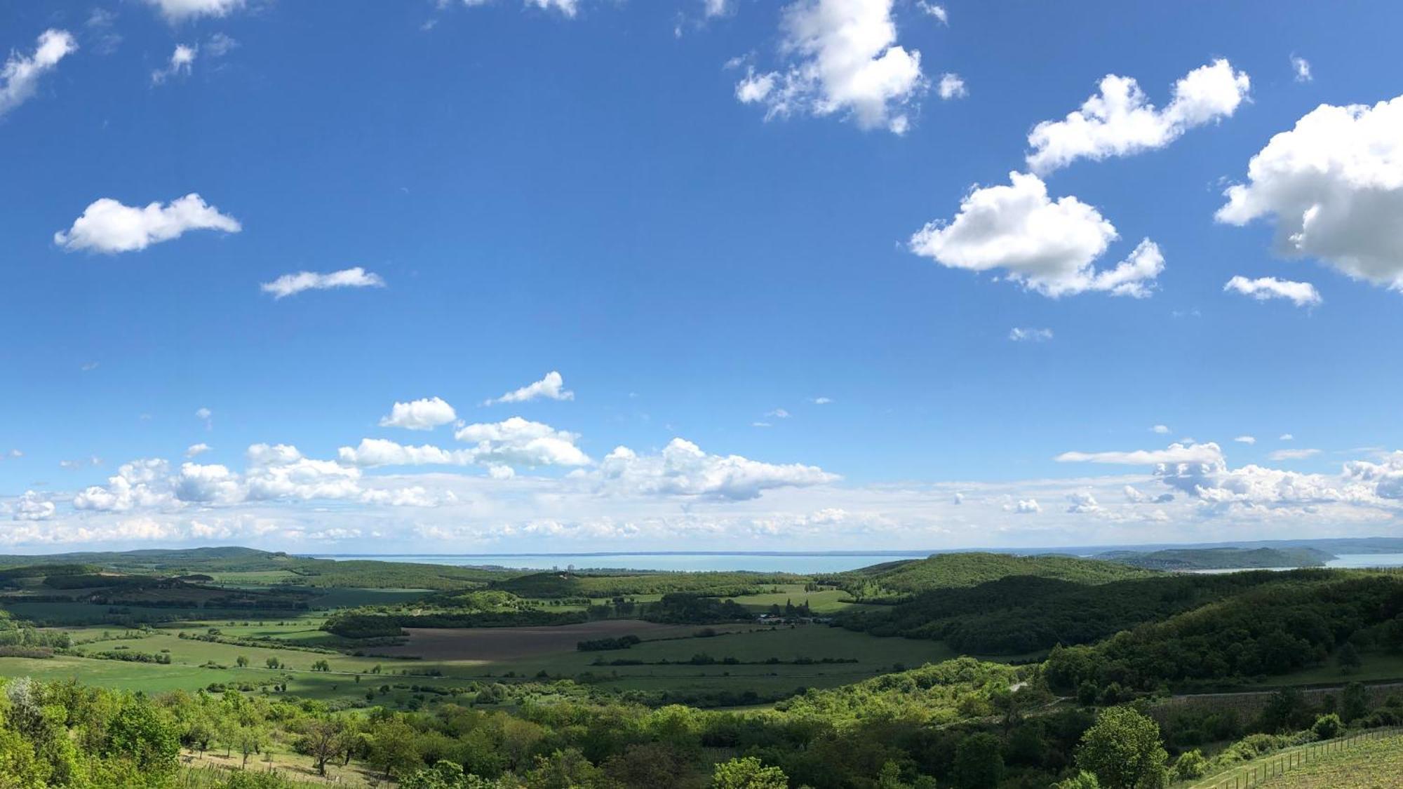 Borbora Borhaz Villa Vaszoly Bagian luar foto